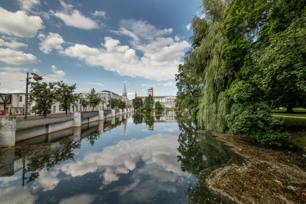 Władysław Reymont Park